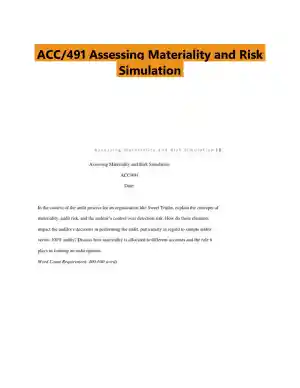 ACC/491 Assessing Materiality and Risk Simulation