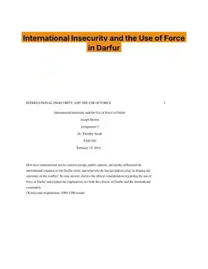 International Insecurity and the Use of Force in Darfur