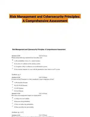 Risk Management and Cybersecurity Principles: A Comprehensive Assessment