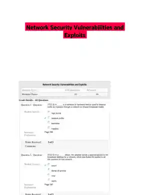 Network Security Vulnerabilities and Exploits