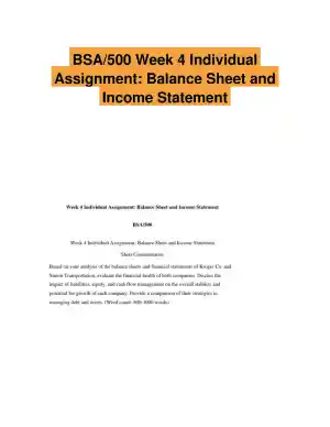 BSA/500 Week 4 Individual Assignment: Balance Sheet and Income Statement