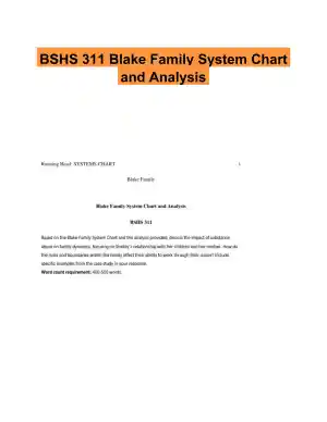 BSHS 311 Blake Family System Chart and Analysis