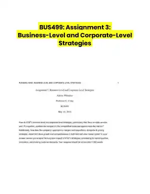 BUS499: Assignment 3: Business-Level and Corporate-Level Strategies