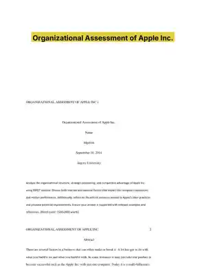 Organizational Assessment of Apple Inc.