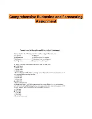 Comprehensive Budgeting and Forecasting Assignment