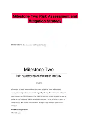 Milestone Two Risk Assessment and Mitigation Strategy