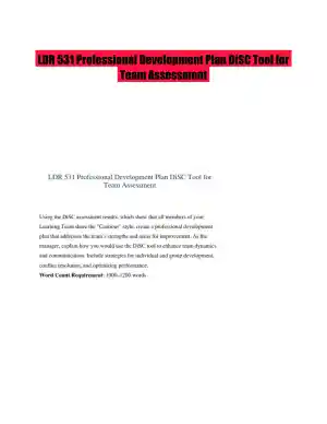 LDR 531 Professional Development Plan DiSC Tool for Team Assessment