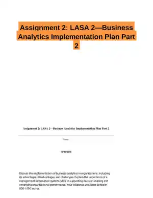 Assignment 2: LASA 2�Business Analytics Implementation Plan Part 2