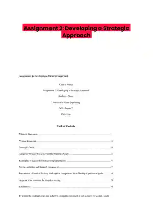 Assignment 2: Developing a Strategic Approach