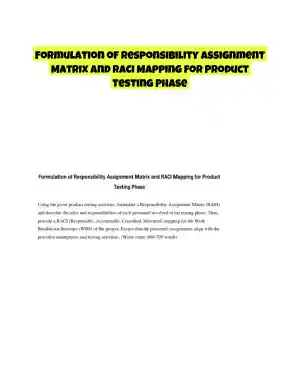 Formulation of Responsibility Assignment Matrix and RACI Mapping for Product Testing Phase