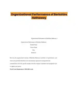 Organizational Performance of Berkshire Hathaway