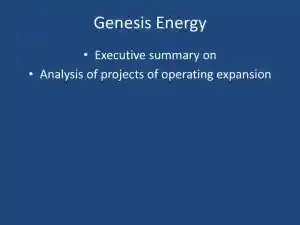 Genesis Energy - Executive Summary On Analysis Of Projects Of Operating Expansion