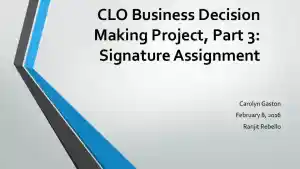 Clo Business Decision Making Project, Part 3: Signature Assignment