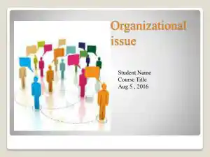 Organizational Issue