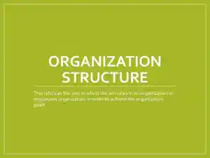 Organization Structure 1