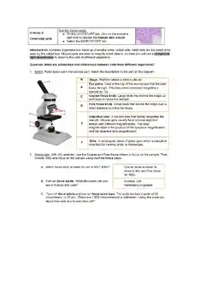 526163449 Cell Types SE Gizmos