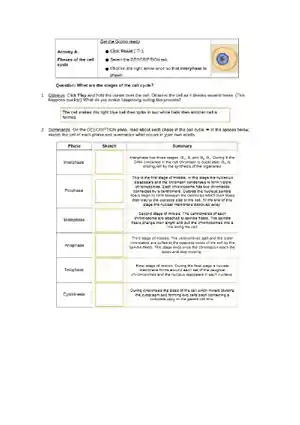 Cell Division Gizmo-Exploring the Stages and Signi