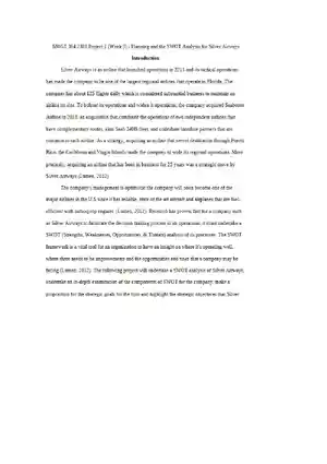 Strategic SWOT Analysis for Silver Airways