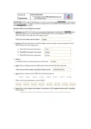 Rna and protein synthesis gizmo