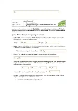 Cell Energy Gizmo Student Investigation