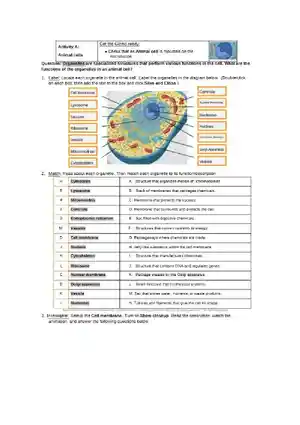 Cell structure gizmo student exploration