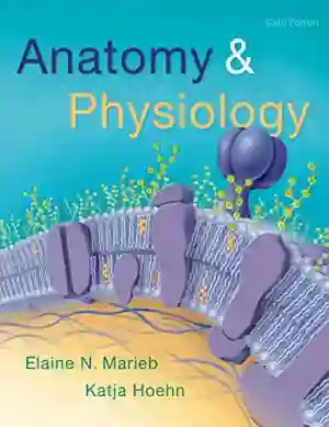 Cover of Anatomy And Physiology by Elaine N. Marieb, Katja N. Hoehn