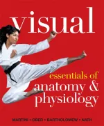 Visual Essentials Of Anatomy And Physiology by Frederic H. Martini, William C. Ober, Edwin F. Bartholomew, Judi L. Nath - Image 1