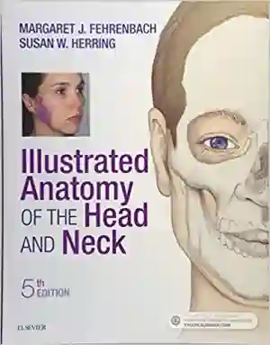 Cover of Illustrated Anatomy Of The Head And Neck by Margaret J. Fehrenbach RDH MS, Susan W. Herring PhD