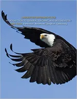 Laboratory Experiments For Introduction To General, Organic And Biochemistry by Frederick A. Bettelheim, Joseph M. Landesberg - Image 1