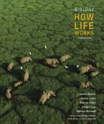Biology: How Life Works by James Morris, Daniel Hartl, Andrew Knoll, Robert Lue, Melissa Michael, Andrew Berry, Andrew Biewener, Brian Farrell, N. Michele Holbrook - Image 1