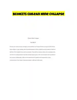 BCOM275 Chilean Mine Collapse