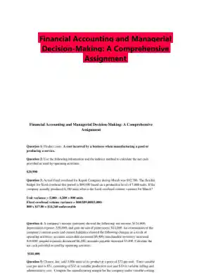 Financial Accounting and Managerial Decision-Making: A Comprehensive Assignment