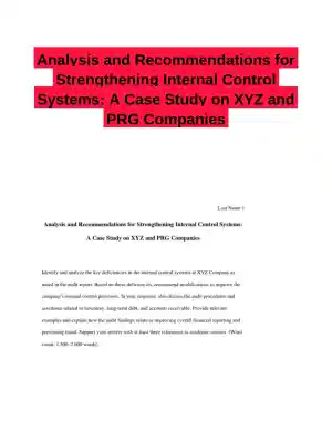 Analysis and Recommendations for Strengthening Internal Control Systems: A Case Study on XYZ and PRG Companies