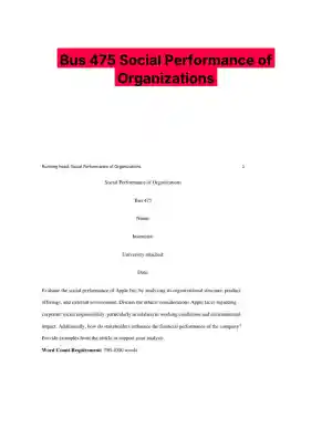 Bus 475 Social Performance of Organizations