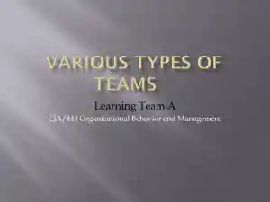 Various Types Of Teams Learning Team ACJA/444 Organizational Behavior And Management