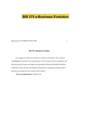 BIS 375 e-Business Evolution
