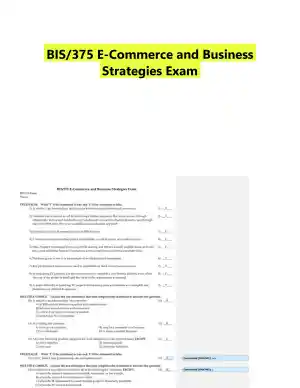 BIS/375 E-Commerce and Business Strategies Exam