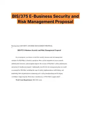 BIS/375 E-Business Security and Risk Management Proposal
