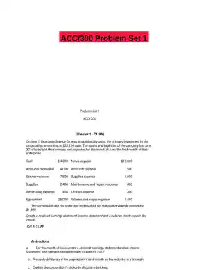 ACC/300 Problem Set 1