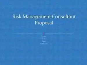 Risk Management Consultant Proposal