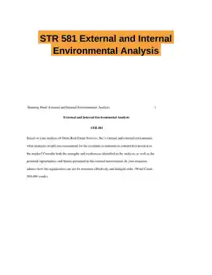 STR 581 External and Internal Environmental Analysis