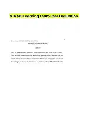 STR 581 Learning Team Peer Evaluation