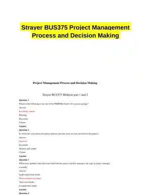Strayer BUS375 Project Management Process and Decision Making