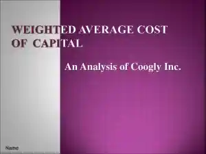 Weighted Average Costof Capital An Analysis Of Coogly Inc.