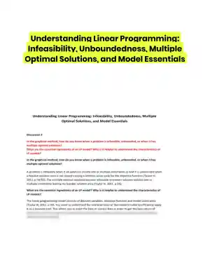 Understanding Linear Programming: Infeasibility, Unboundedness, Multiple Optimal Solutions, and Model Essentials