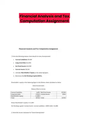 Financial Analysis and Tax Computation Assignment