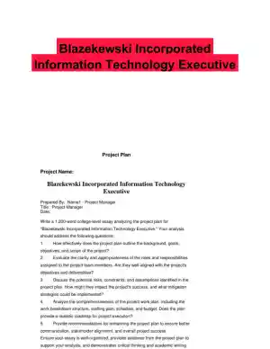 Blazekewski Incorporated Information Technology Executive