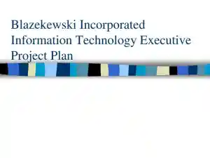 Blazekewski Incorporated Information Technology Executive Project Plan