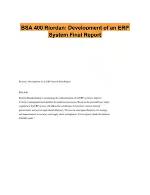 BSA 400 Riordan: Development of an ERP System Final Report