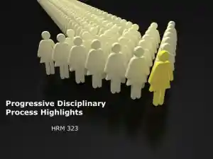 Progressive Disciplinary Process Highlights - HRM 323